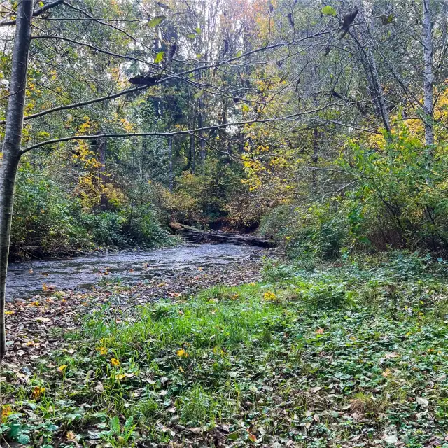 Large Flat area by river for possible camping location.