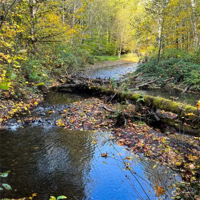 Looking up river.