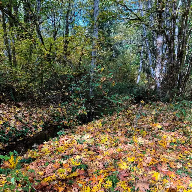 Quiet Creek on property separate from River.