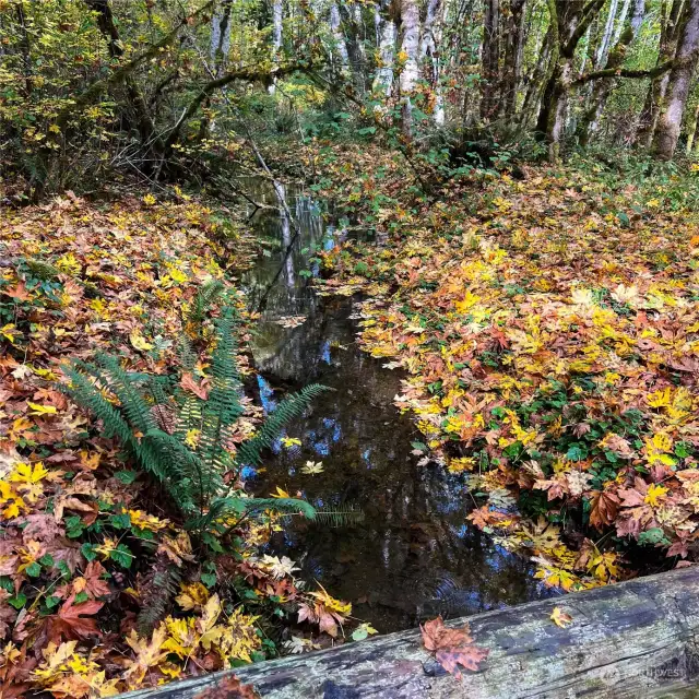 Pretty Creek on property separate from River.