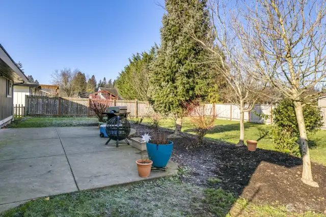 Patio is great for BBQ and summer dining.