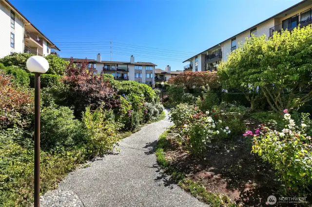 Gorgeous, mature plantings and grounds