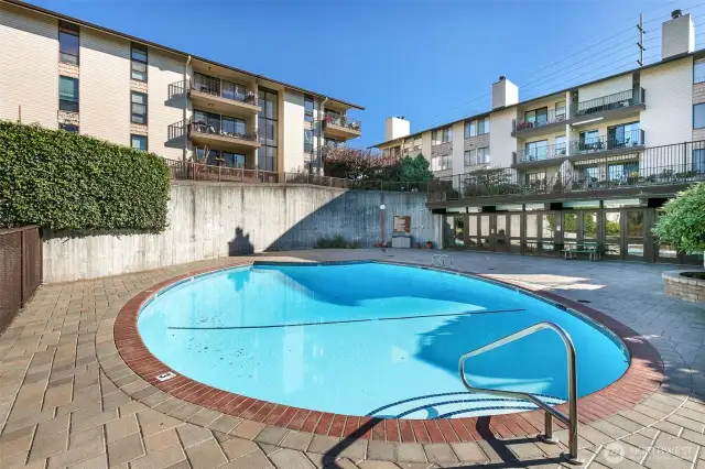Outdoor pool for summertime fun