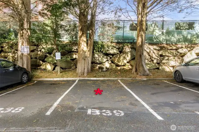 Designated parking