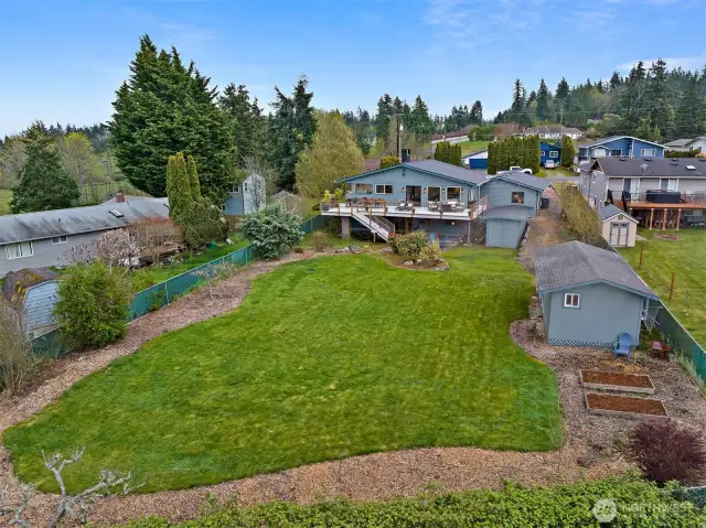 Huge backyard for activities - paradise for dogs and kids!