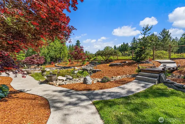 Front yard from driveway view.