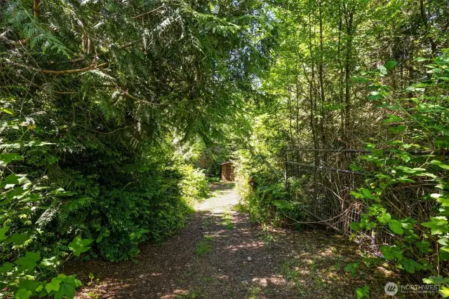 Fun trails