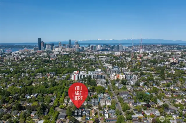Aerial View - Walking Distance To Restaurants + Coffee + Transit Lines + Other Shopping.