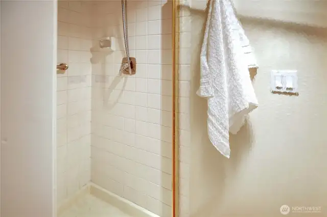 Primary Shower