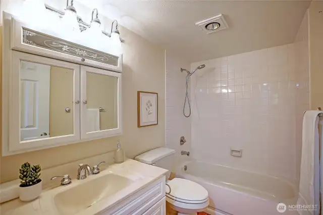 Main Full Bathroom