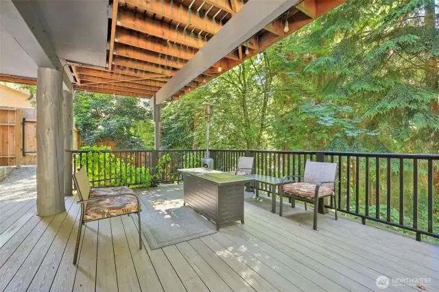 Large Deck
