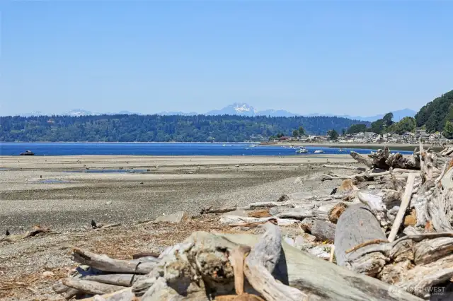 The Cove Beach