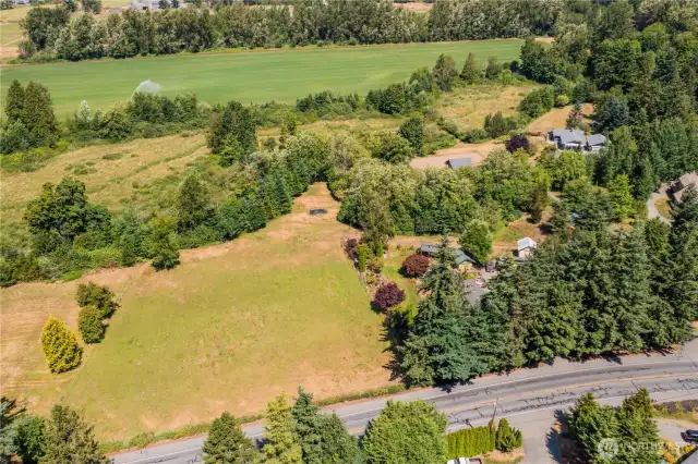 The front pasture