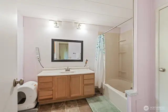 Primary bathroom