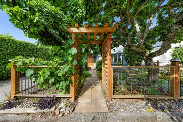 Lush gardens provide shade and privacy