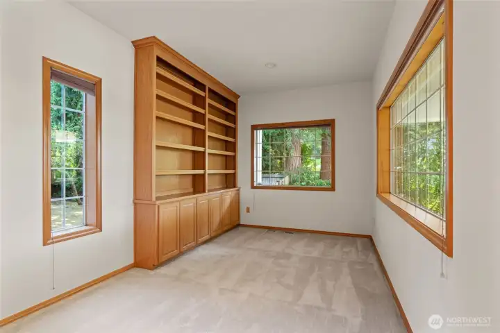 Lower level Den with custom built-ins.