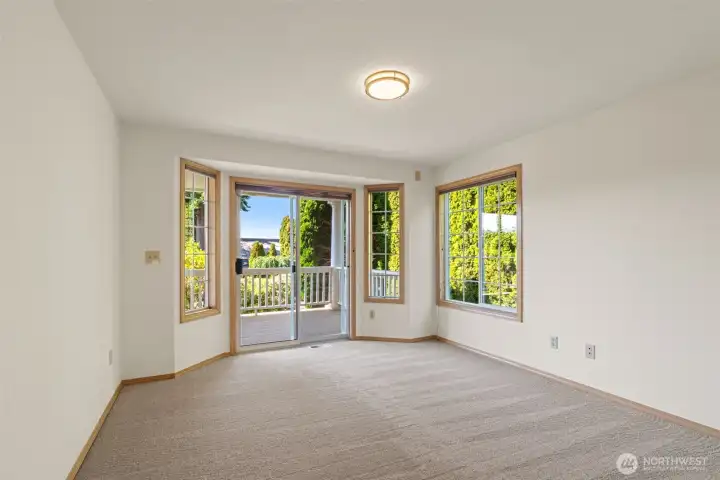 Lower level bedroom.