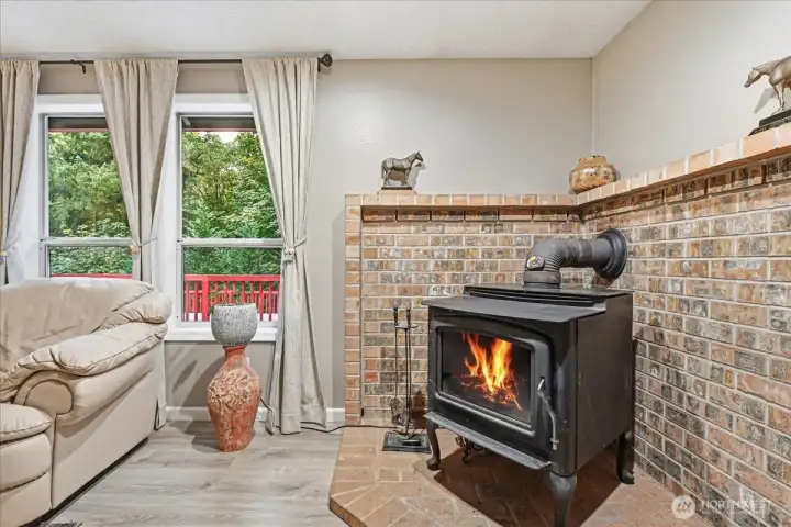 Free Standing Wood Burning Fireplace