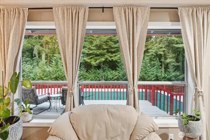 View from Family Room