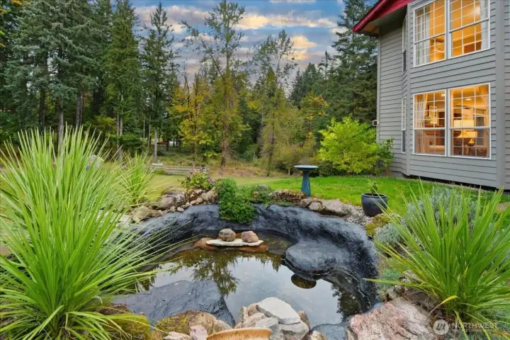 Water Feature