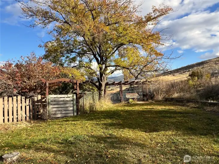 Beautiful shrub-steppe landscaping with irrigation from separate well
