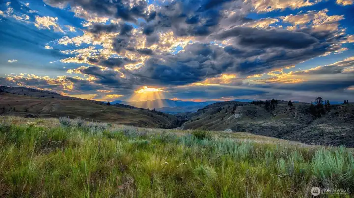 Beauty in every direction for every season.