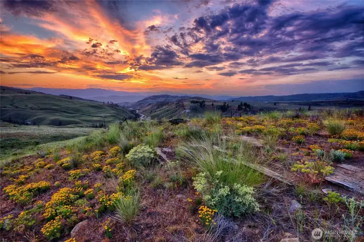 Bunchgrasses and flowers.