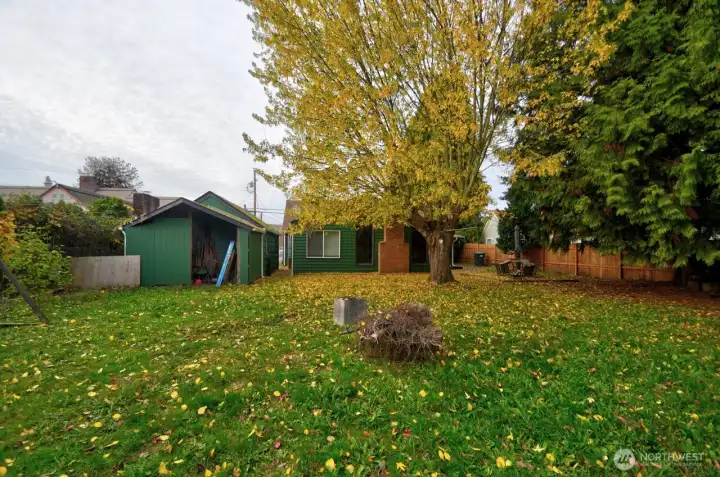 Fire pit for outdoor get togethers