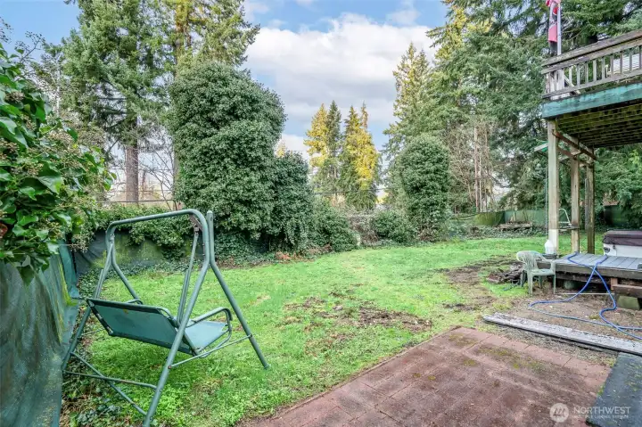 Spacious Backyard