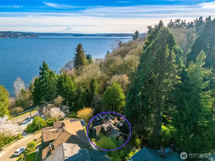 A pedestrian only walkway across the street takes you to Madrona Park and Beach.