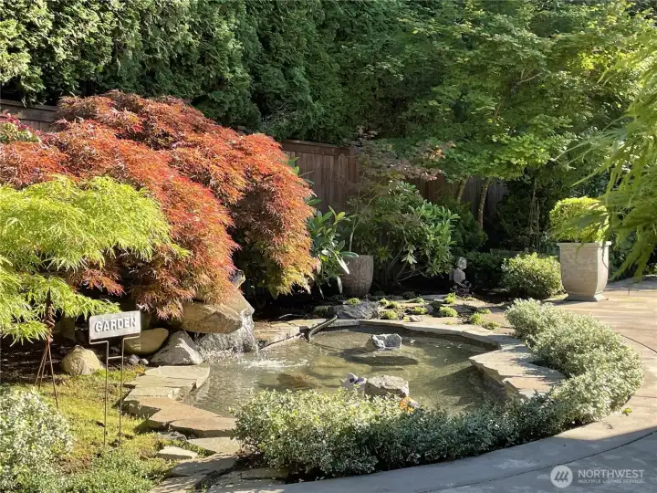 Summer view of back yard pond.  There is control  in house that turns the pond on and off.  Water just circulates.