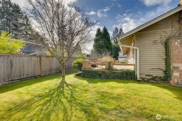 Views of backyard deck.