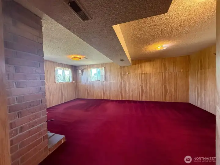 Lower level family room and fireplace