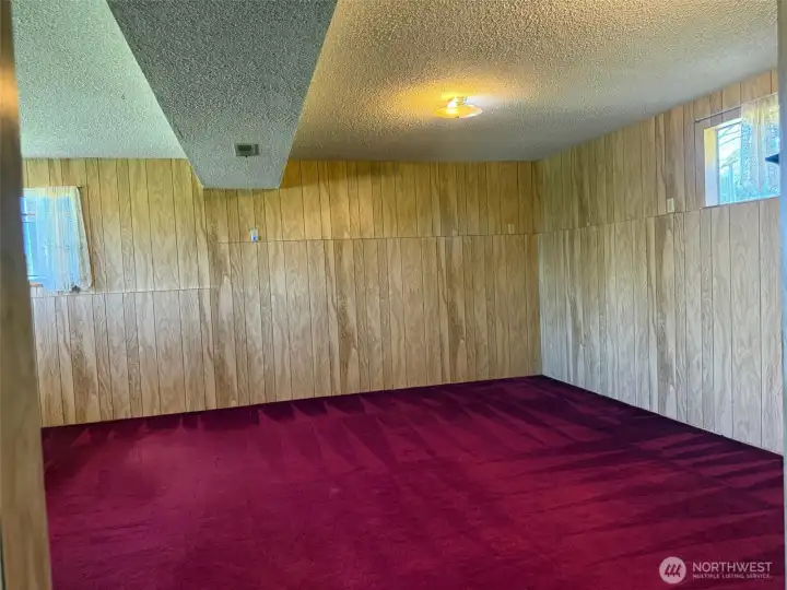 Lower level family room