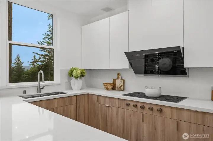 Professional Wolf gas cooktop & contemporary designer vent hood