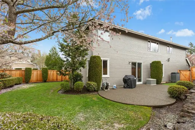 Fenced back yard and patio. Landscaped yard has built-in sprinkler system.