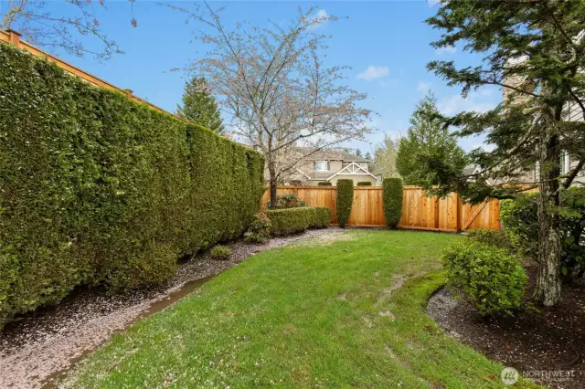 Fenced side yard.