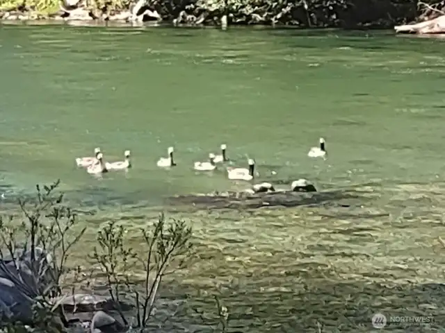 Nature always has the best surprise guests.