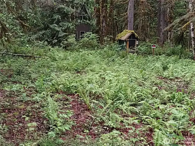 Great location to setup your basecamp to exceptional recreation!