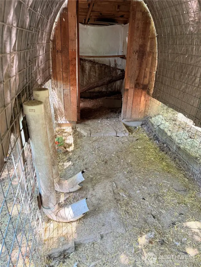 Chicken Coop