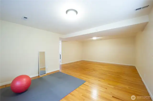 Lower Level Bonus Room