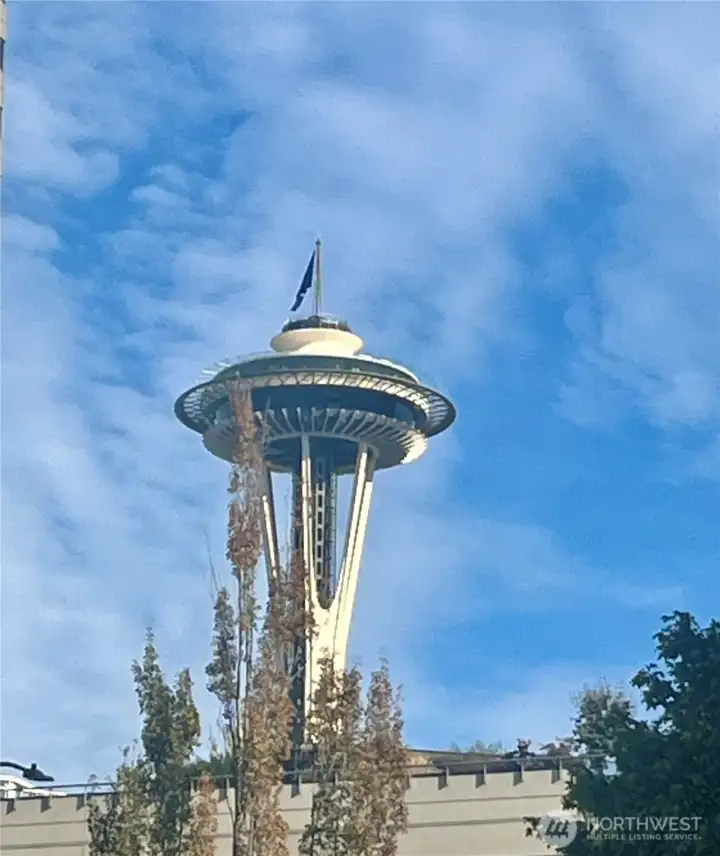 Look to your right (East) when out on the deck...the Space Needle is your neighbor!  Enjoy the fantastic display of fireworks on New Year's Eve!