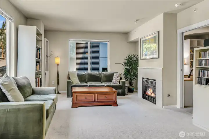 Another vantage point of the living room and gas fireplace.