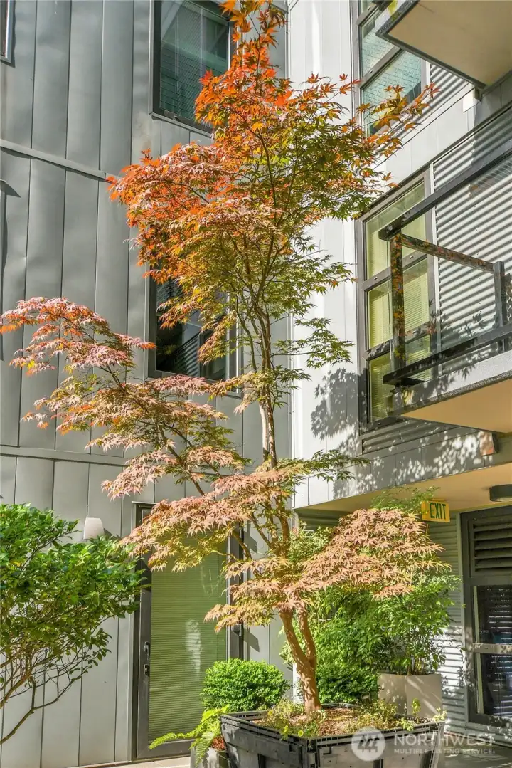 The Fall colors are everywhere!