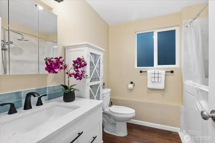 Lower level full bath with new walk-in tub/shower.