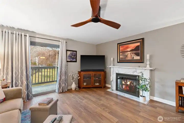 Wood burning fireplace