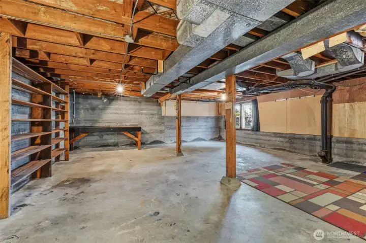 Unfinished Basement with large windows, outside entrance and tall ceilings