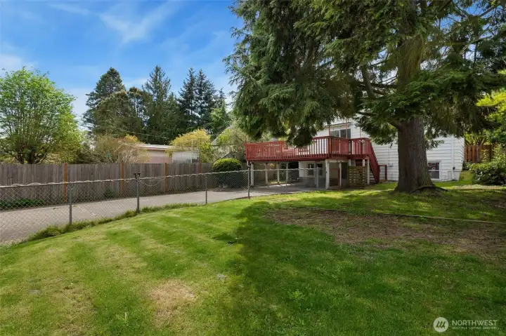 Fenced Back Yard