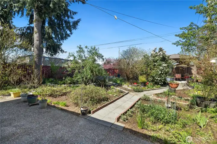 gorgeous garden with paths