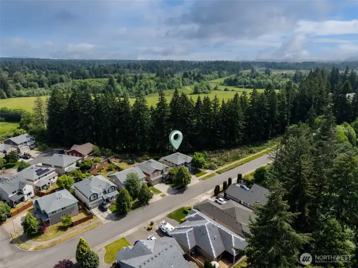 Home is adjacent to open space with no neighbors on one side